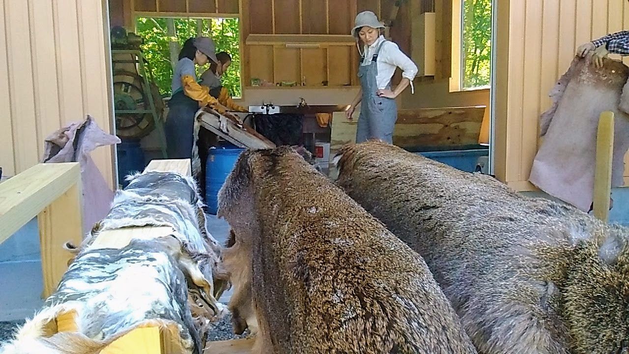 西興部村 エゾシカ革 皮 西興部ゲストハウス Ga Kopper