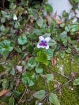 PXL_20250823_002515997