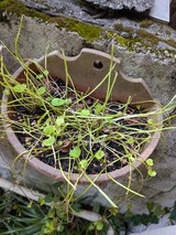 PXL_20250915_052254540