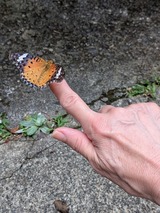 PXL_20250813_024307111