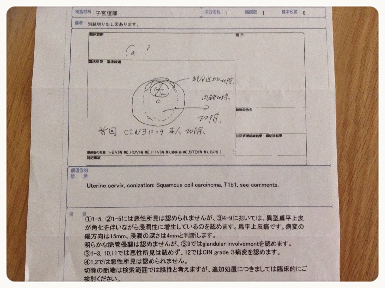２０１５年１０月２日 癌告知 追記 コッピーの好きなコトいろいろ