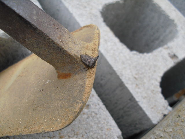 蔵の土台石 地球に足跡を 蔵の土台石 地球に足跡を