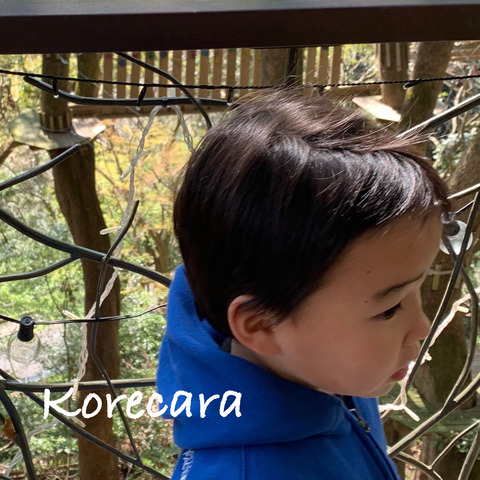 20190415-1