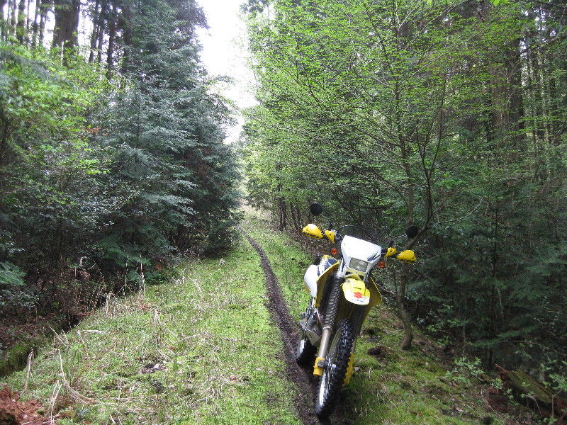 広島林道七不思議 不思議な案内板 オフロードな時間