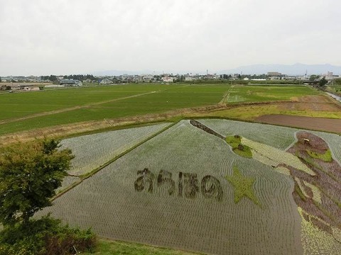 CIMG5468