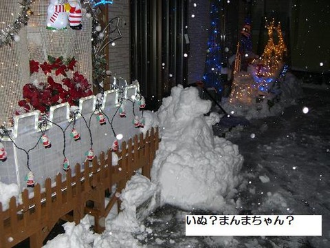20101226p