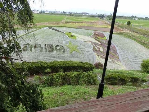 CIMG5466
