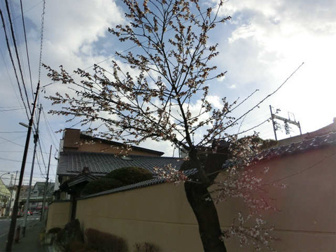 CIMG3367