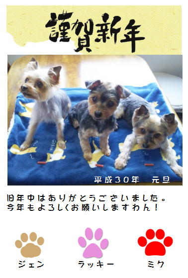 メール用