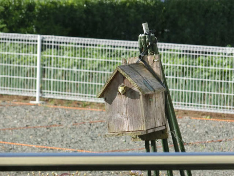 CIMG0083