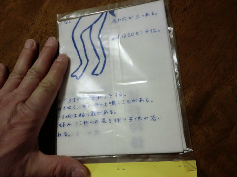 CIMG9963