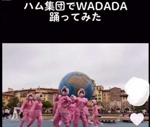 ディズニーシーハム集団wadadaダンス動画 バカ女の名前や学校 大学 特定 テヤン これキチ速報