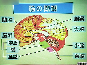 指回し体操 プラス コリは万病の元 指回し体操 プラス コリは万病の元