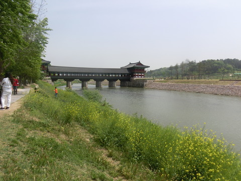 CIMG3269