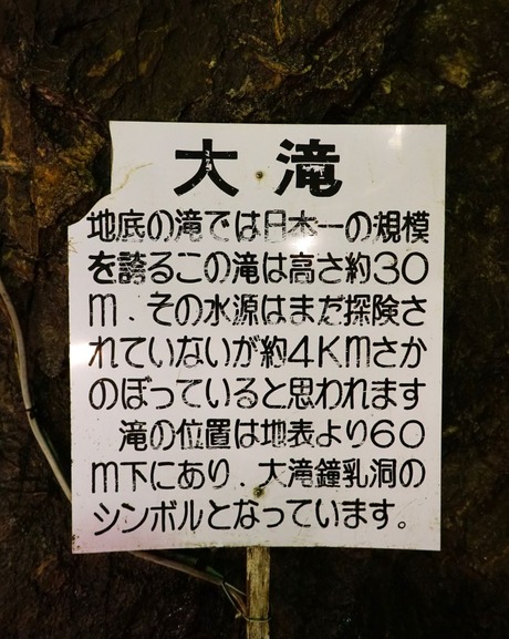DSC04244
