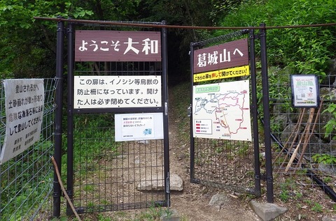 WG3_9439