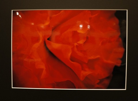 DSC02117