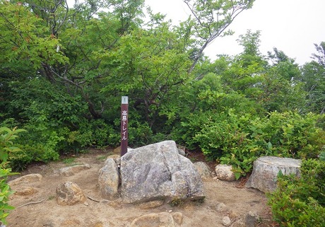 WG3_2795
