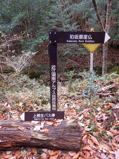 WG3_7610