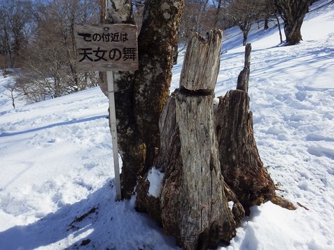 WG3_8520