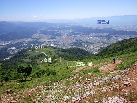 WG3_6409