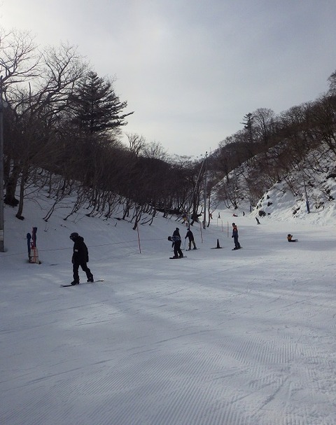 WG3_7880