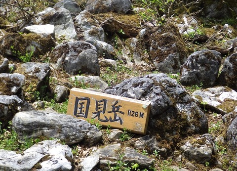 WG3_2195