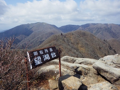 WG4_8202