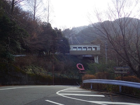 WG3_8082