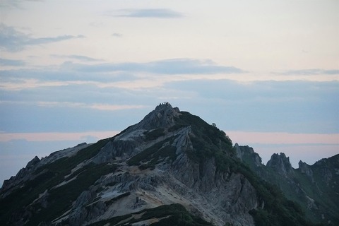 ALP05551