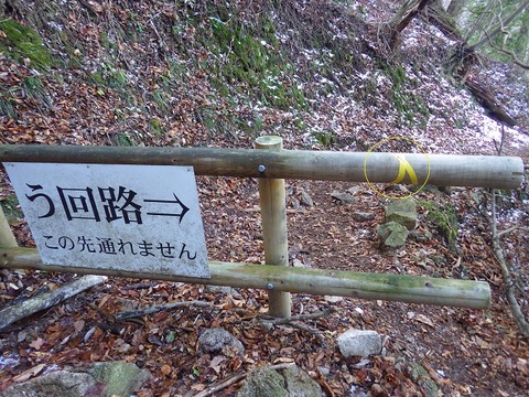 WG3_8015