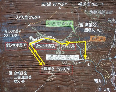 WG3_0341
