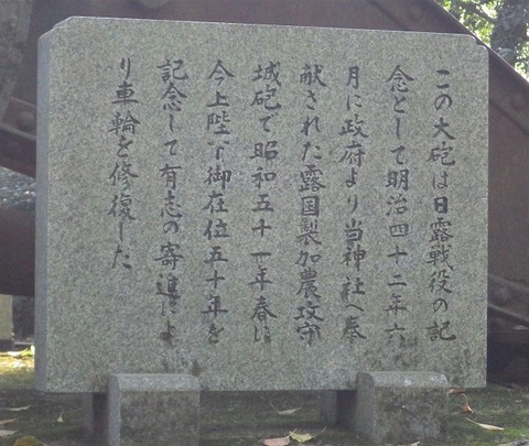 WG3_5714