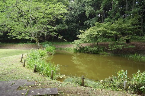 DSC00595