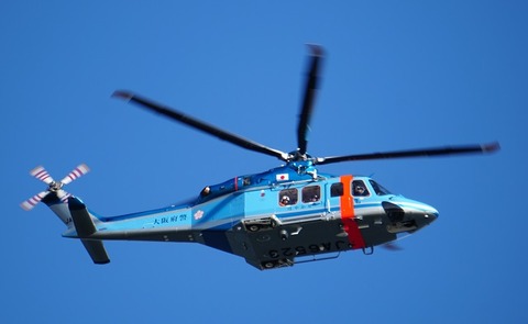 ALP06467
