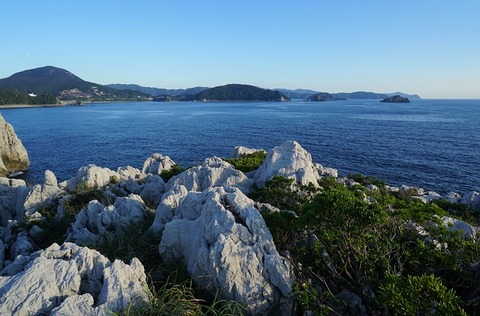 DSC01349