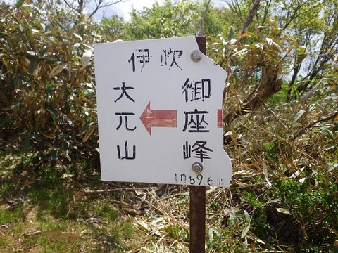 WG3_2189