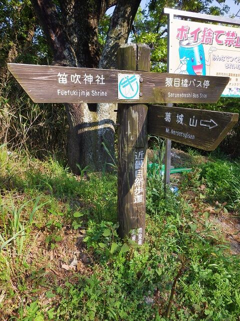 WG3_5711