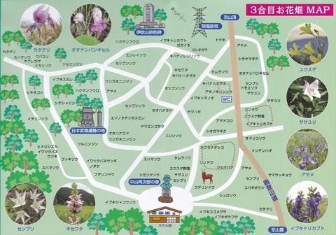 伊吹山お花畑-3合目