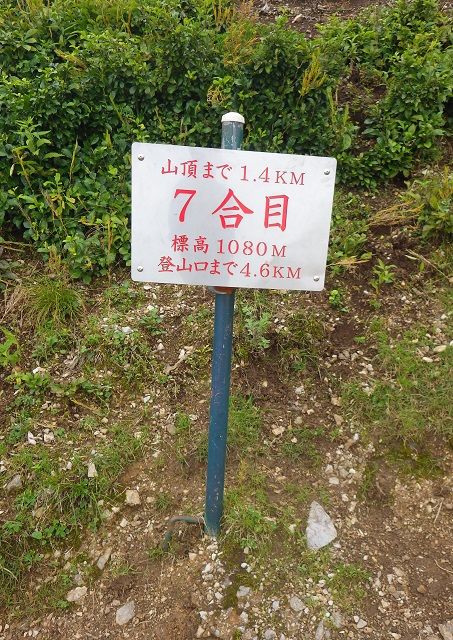 WG4_6717