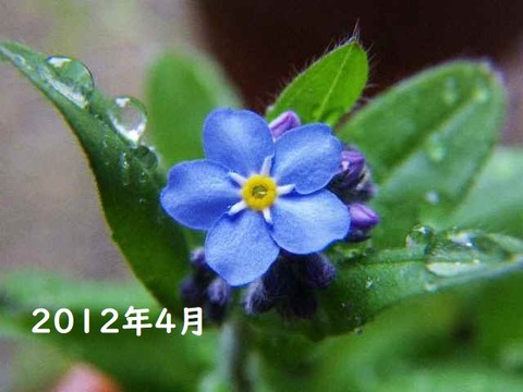 imgp0288