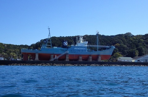WG3_4793-1359