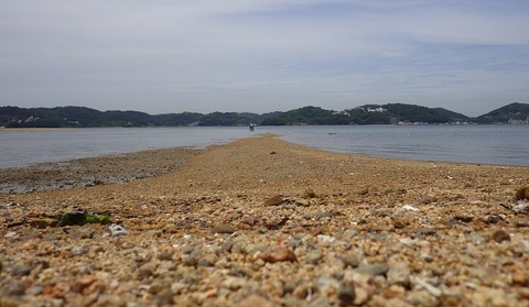 WG3_9755
