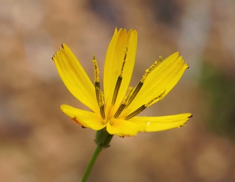 11-64_00578