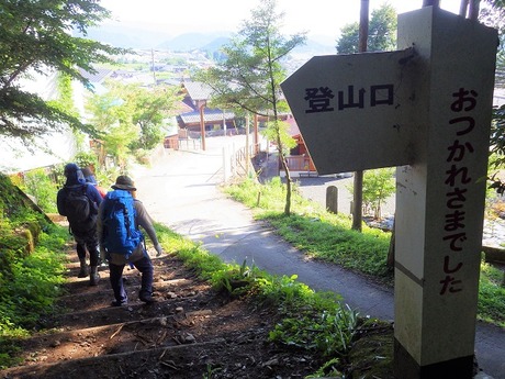 WG3_3037