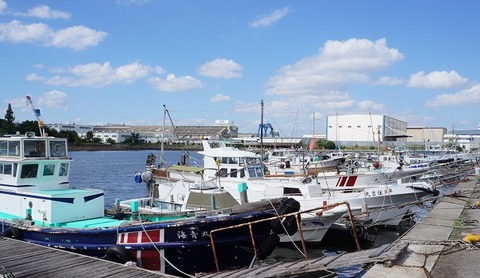 DSC02966