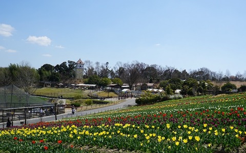 DSC03041