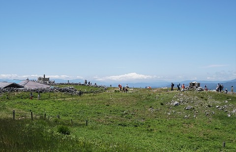 ALP00783