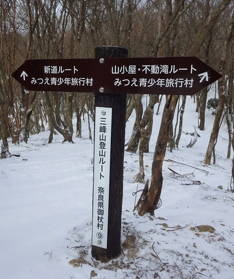 WG3_1358