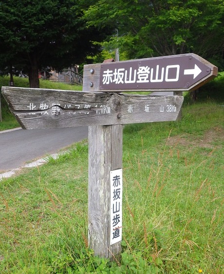 WG3_2828 (2)